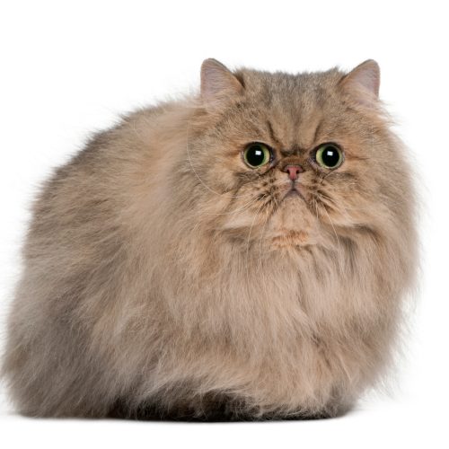 3519